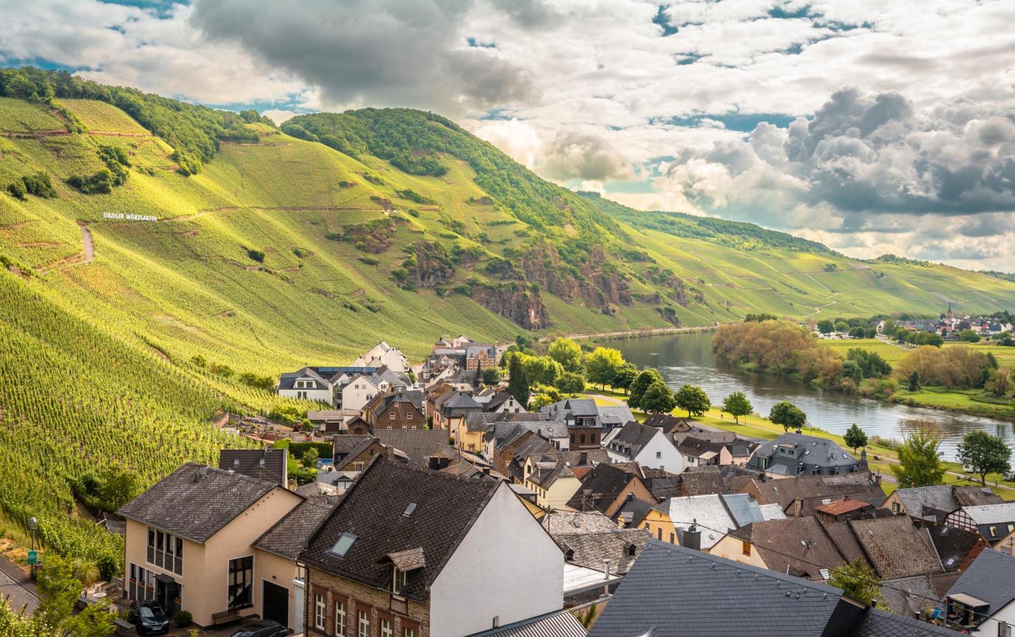 Weingut / Gaestehaus Gerlach Юрциґ Екстер'єр фото