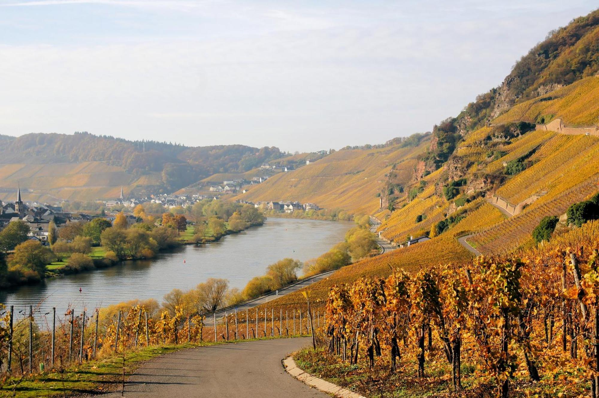 Weingut / Gaestehaus Gerlach Юрциґ Екстер'єр фото