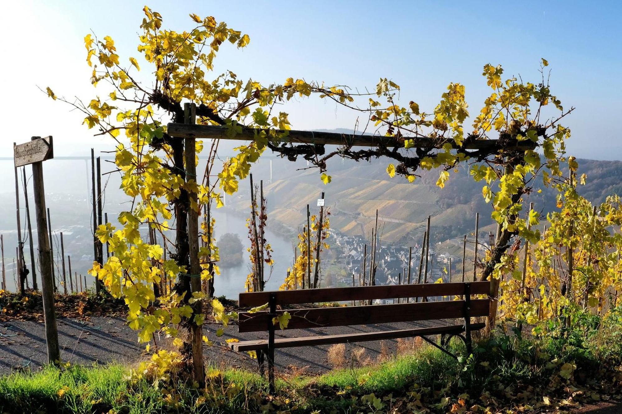Weingut / Gaestehaus Gerlach Юрциґ Екстер'єр фото