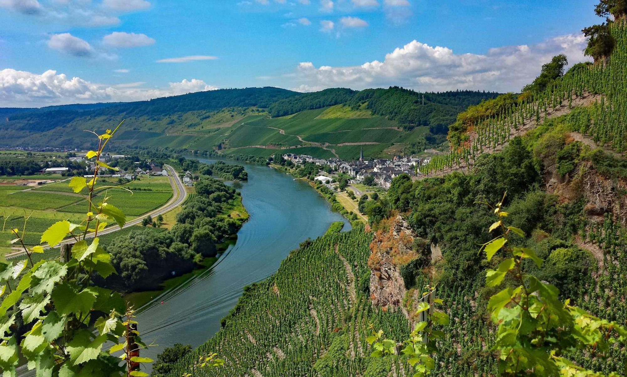 Weingut / Gaestehaus Gerlach Юрциґ Екстер'єр фото