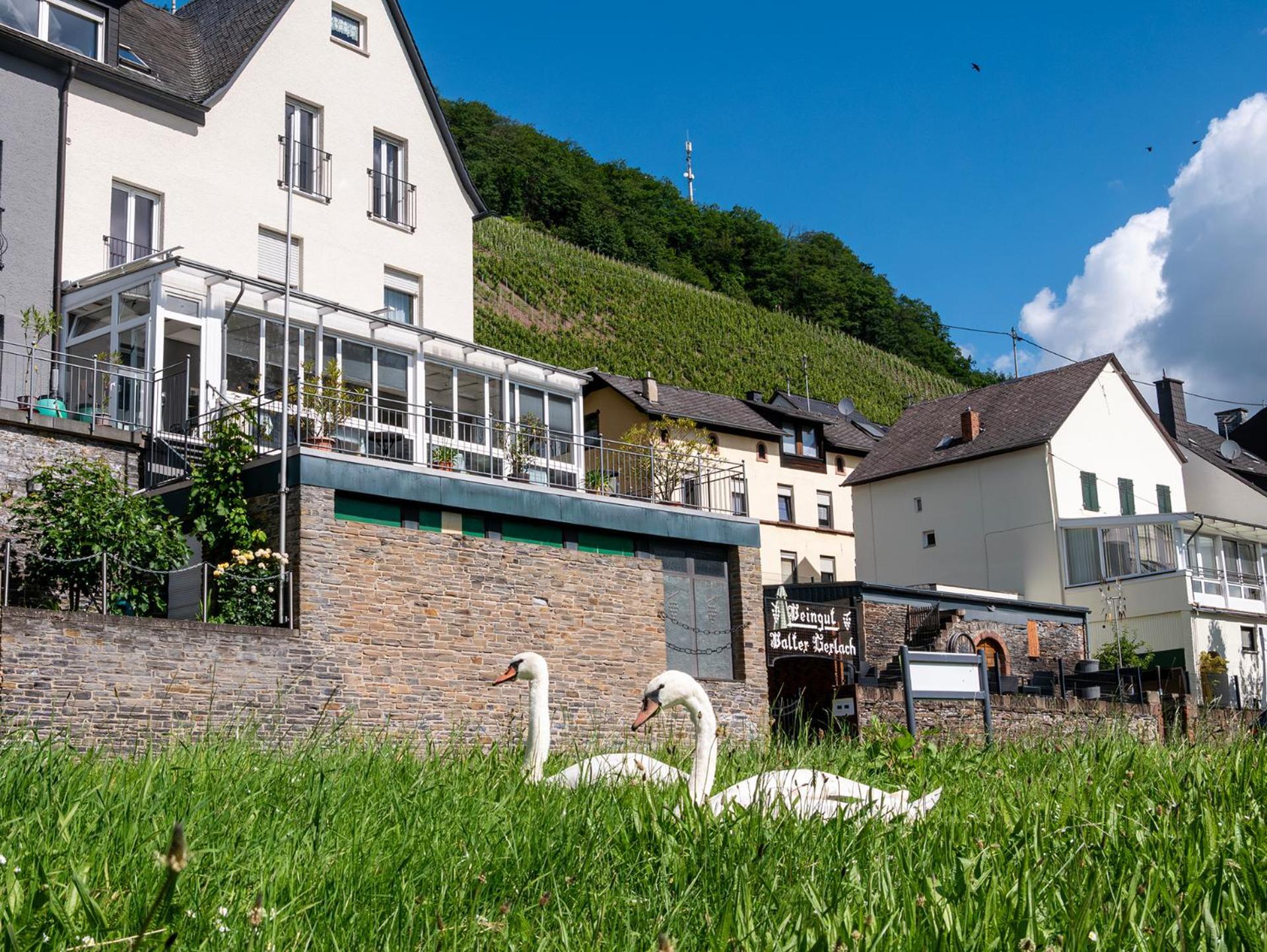 Weingut / Gaestehaus Gerlach Юрциґ Екстер'єр фото