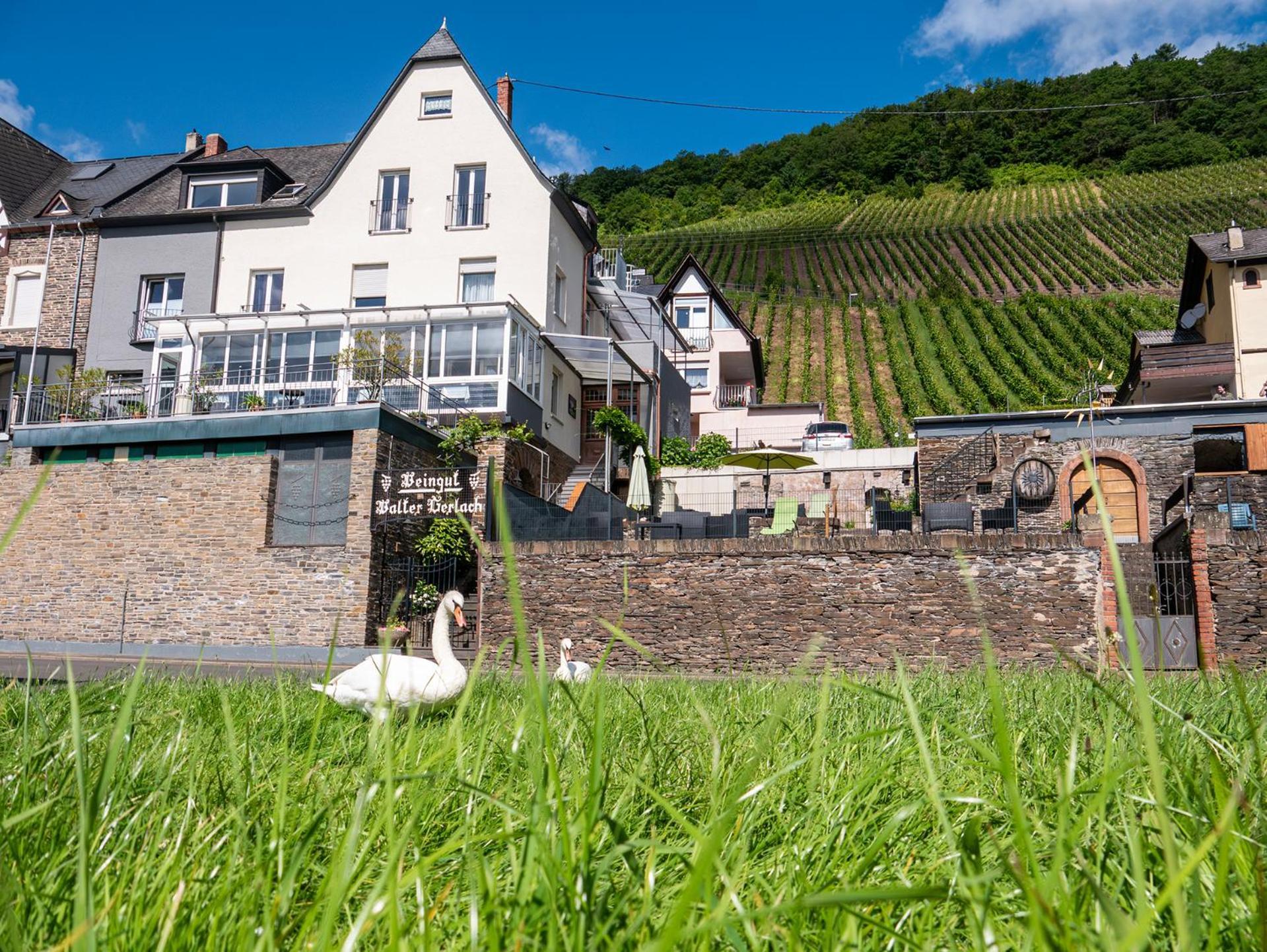 Weingut / Gaestehaus Gerlach Юрциґ Екстер'єр фото