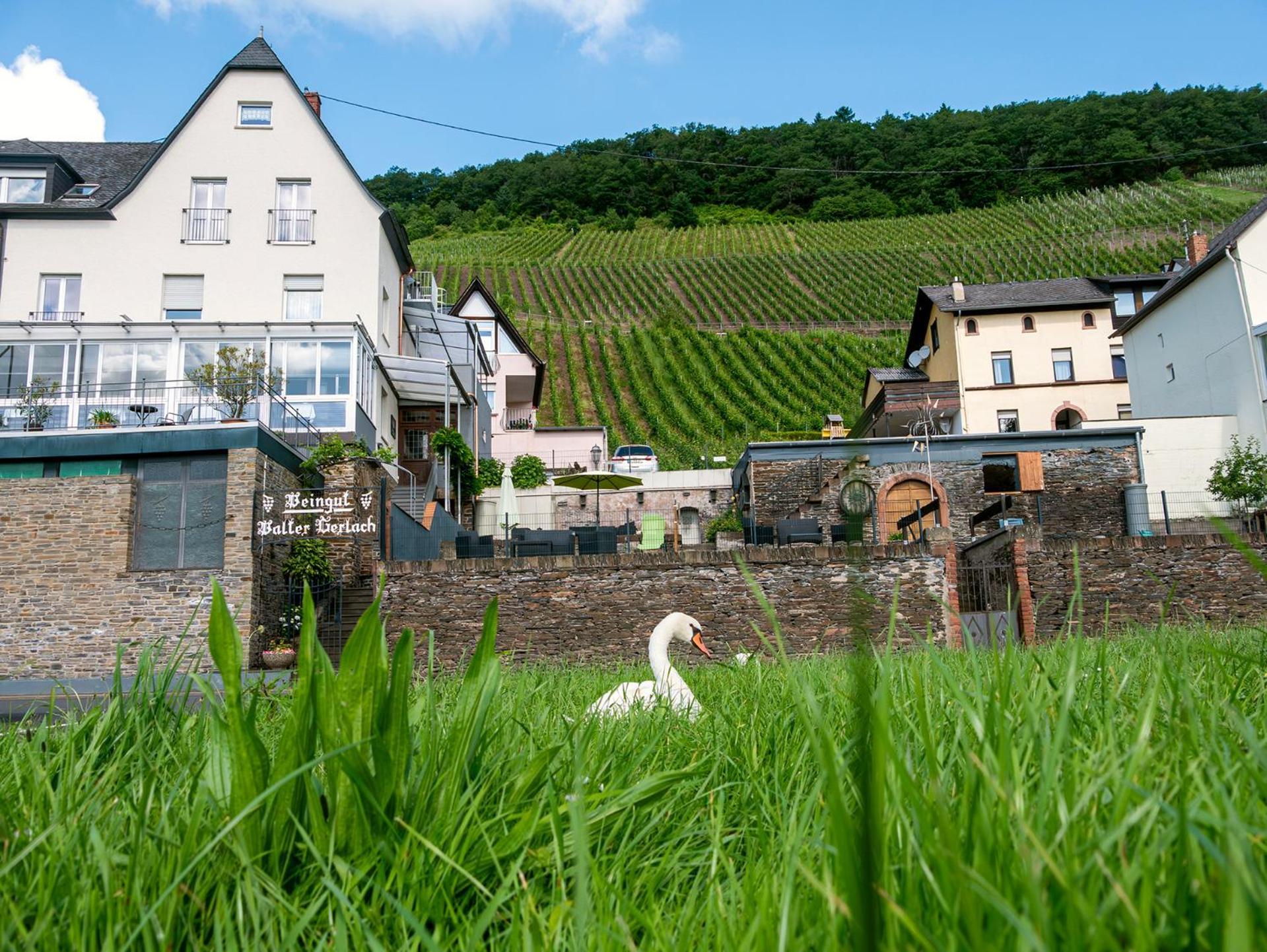 Weingut / Gaestehaus Gerlach Юрциґ Екстер'єр фото